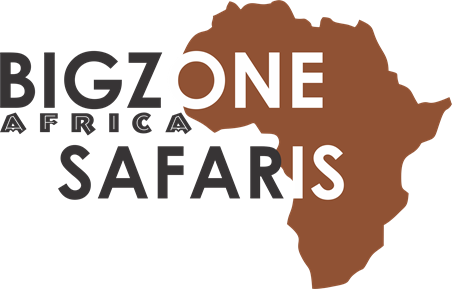 Bigzone Safaris Africa Limited Logo