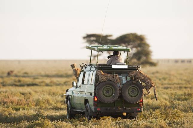 3 Days Amboseli Trail Safari