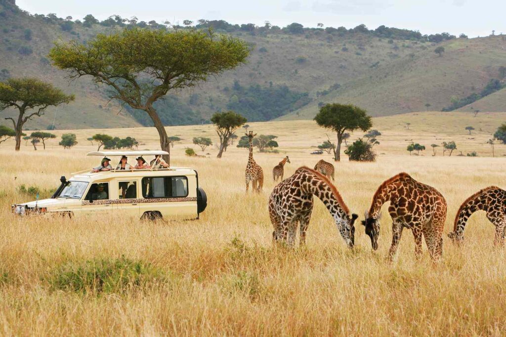 6 Days Kenya All-round Safari in Nairobi