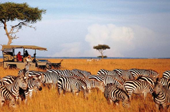 Masai Mara Safari Packages