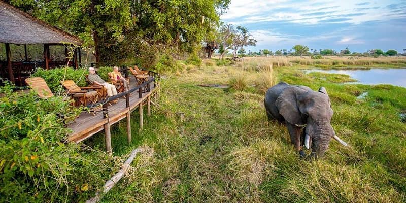 Masai Mara Safari from Nairobi