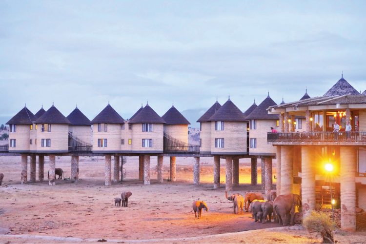 TSAVO EAST AND SALTLICK LODGE