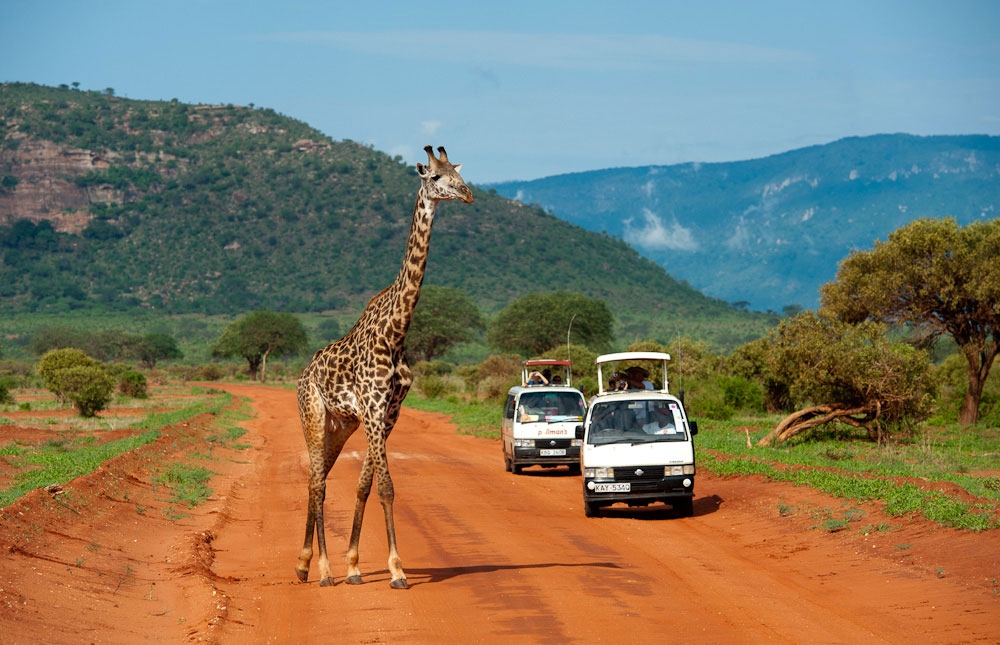 3 DAYS TSAVO EAST AND WEST