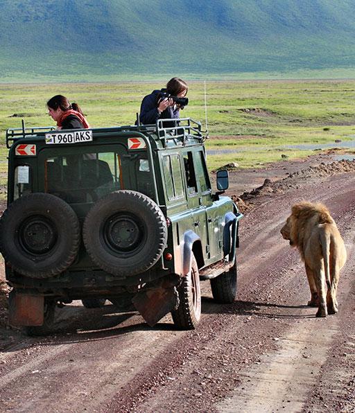 Safari from Mombasa Kenya