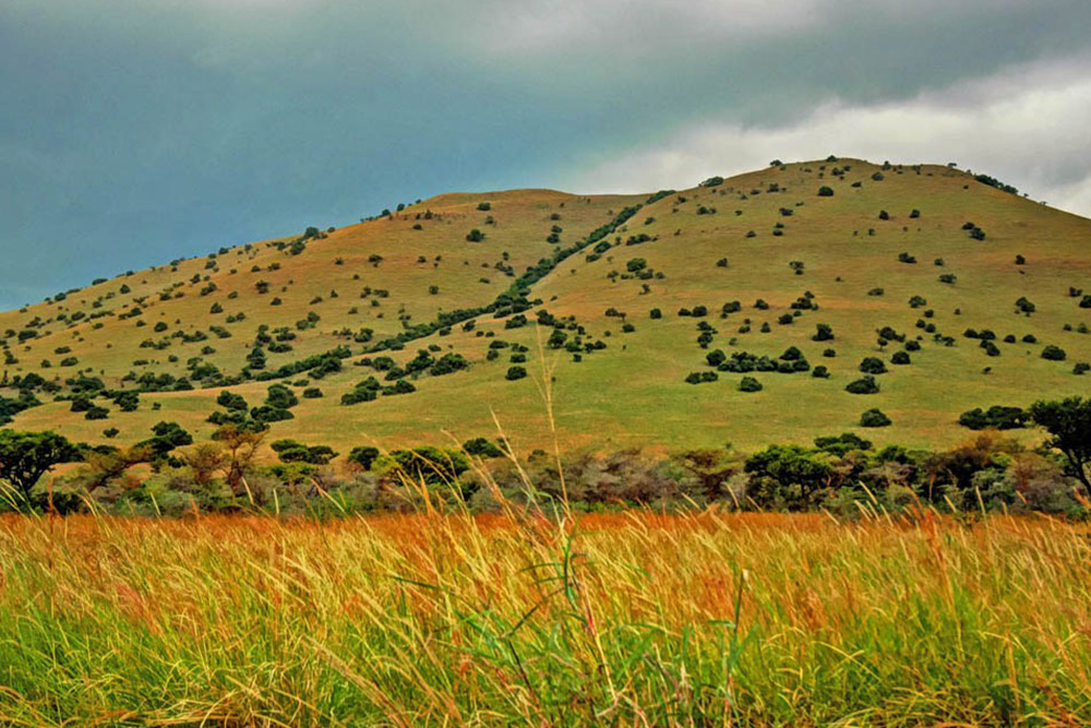 Amboseli Sgr Safari Package