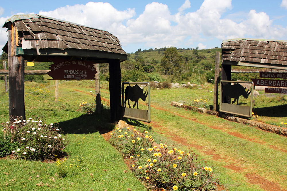 Aberdare National Park